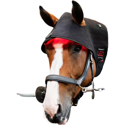 Horseware Rambo LED Red Light Therapy Cap Zwart