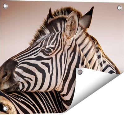 Gards Tuinposter Twee Knuffelende Zebra's - 50x40 cm - Tuindoek - Tuindecoratie - Wanddecoratie buiten - Tuinschilderij