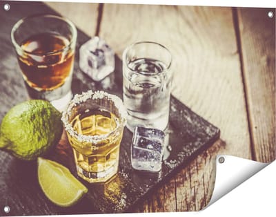 Gards Tuinposter Alcoholische Drankjes - Drank - 90x60 cm - Tuindoek - Tuindecoratie - Wanddecoratie buiten - Tuinschilderij