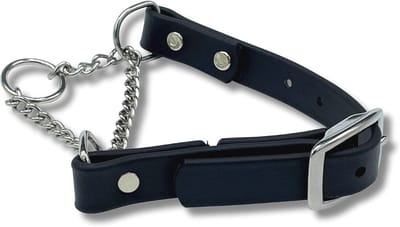Martingale Hondenhalsband van Biothaan met Roestvrijstalen Hardware - Professionele Kwaliteit voor Honden