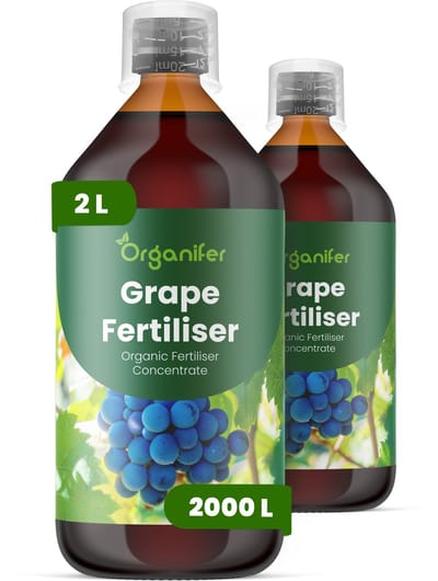 Vloeibare Meststof Voor Druiven 2X1 L Voor 2000 L - Npk 2-1-8 - Krachtige Rankgroei - Droogtetolerantie - Schilsterkte - Bevordert Consistente - Gezonde Groei Gedurende Lange Groeiseizoenen - Geschikt Voor Wijndruiven En Tafeldruiven - Organifer