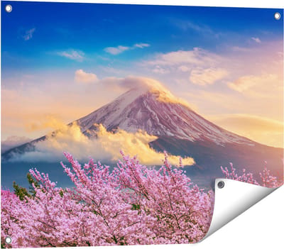 Gards Tuinposter Fuji Berg met Roze Bloesembomen - Bloemen - 80x60 cm - Tuindoek - Tuindecoratie - Wanddecoratie buiten - Tuinschilderij
