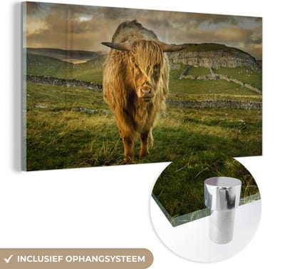 MuchoWow® Glasschilderij 40x20 cm - Schilderij acrylglas - Schotse Hooglander - Gras - Berg - Foto op glas - Schilderijen