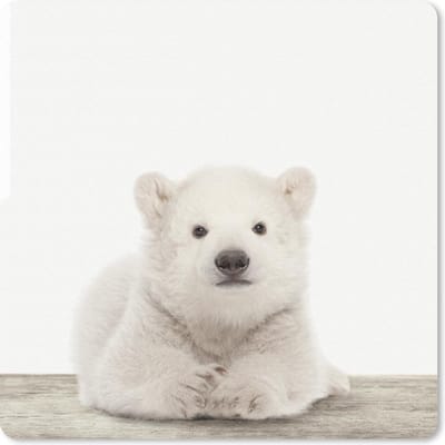 Muismat 20x20 cm - Mousepad Dier - Wit - IJsbeer - Muismatten
