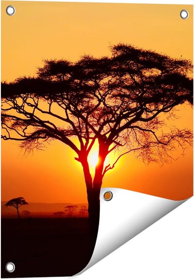 Gards Tuinposter Zonsondergang Achter een Savanne Boom - 40x50 cm - Tuindoek - Tuindecoratie - Wanddecoratie buiten - Tuinschilderij