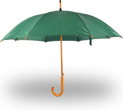 Paraplu Groene Paraplu - Winddicht en Automatisch voor Volwassenen | 98 cm Diameter - Met Houten Stok en Handvat
