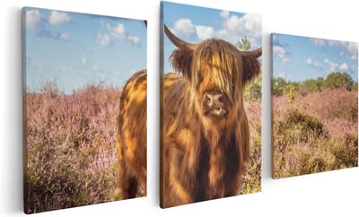 Artaza Canvas Schilderij Drieluik Schotse Hooglander Koe In De Wei - 120x60 - Foto Op Canvas - Canvas Print
