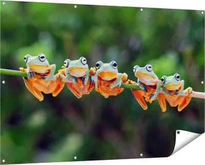 Gards Tuinposter Groep Kikkers op een Tak - 150x100 cm - Tuindoek - Tuindecoratie - Wanddecoratie buiten - Tuinschilderij