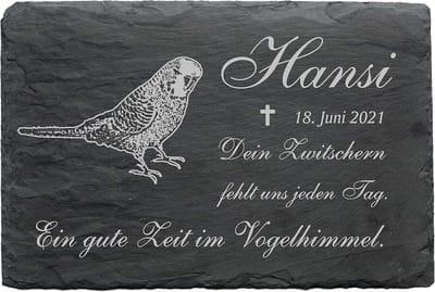 Grafparkiet Leisteen - Herdenkingsbord Dier - Aandenken Maken - Gravure Naar Wens - 22 X 16 Cm - Natuursteen