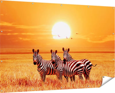 Gards Tuinposter Drie Zebra's bij Zonsondergang - 180x120 cm - Tuindoek - Tuindecoratie - Wanddecoratie buiten - Tuinschilderij
