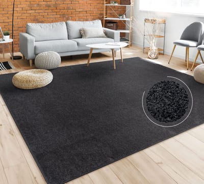Paco Home Vloerkleed Woonkamer Effen Eenvoudig En Modern Laagpolig, Versch. Afmetingen Kleuren 160 cm Quadrat