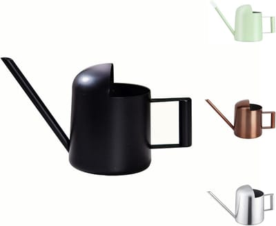 Mini-gieter, 10 oz/300 ml, roestvrij staal, met lange tuit, kleine gieter voor kamerplanten, vetplanten en kruiden (zwart)