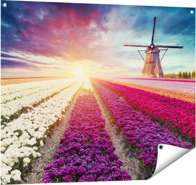 Gards Tuinposter Kleurrijke Tulpen Bloemenveld - Windmolen - 100x80 cm - Tuindoek - Tuindecoratie - Wanddecoratie buiten - Tuinschilderij