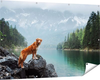 Gards Tuinposter Retriever Hond bij het Water in de Bergen - 150x100 cm - Tuindoek - Tuindecoratie - Wanddecoratie buiten - Tuinschilderij