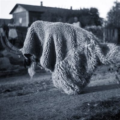 Random Gods - Pneuma (LP)