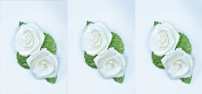 3 haar bloemen clicks  2 roosjes op click wit