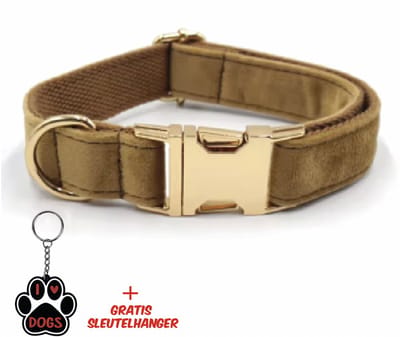 SilverAndCoco® - Bruine Honden Halsband met Gratis Sleutelhanger | Velvet Hond Puppy Bandje | Hondenhalsband Suède Gouden | Kleding Decoratie | Hondenbandje Huisdier - Bruin / Goud