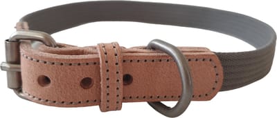 Animal Boulevard Ab30600 - Hals- En Leibanden - Hond - Ab Waxed Leather With Canvas Halsb. Nat/gr-25mmx47-55cm - Maat: 25mmx47-55cm