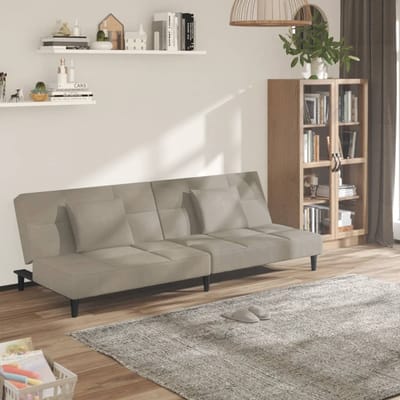 vidaXL - Slaapbank - 2-zits - met - 2 - kussens - fluweel - lichtgrijs