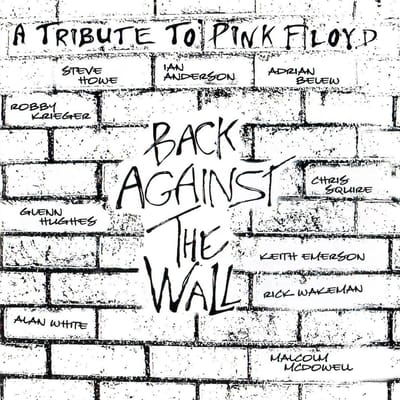 A Tribute To Punk Floyd - Back Against
