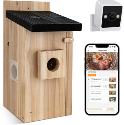 Bird House met camera, 4 miljoen pixels, outdoor vogelhuiscamera, real-time observatie van de nestbouw en het broed van vogels, AI-detectie van vogelgedrag, doe-het-zelf