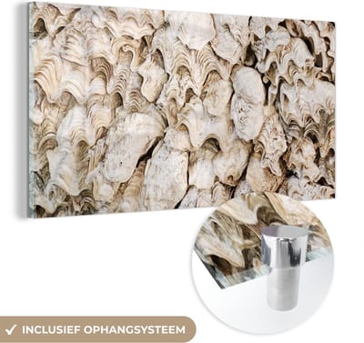 MuchoWow® Glasschilderij 120x60 cm - Schilderij acrylglas - Schelpen - Zomer - Zee - Foto op glas - Schilderijen
