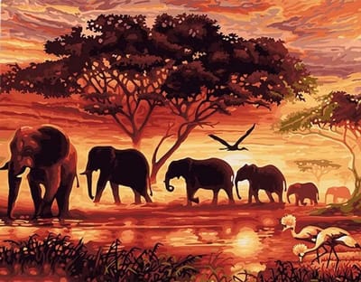 Schilderen op Nummer voor Volwassenen en Kinderen, Afrikaanse Landschappen met Olifanten, Vogels en Bomen, DIY Acryl Schilderkits 16x20 inch voor Muurdecoratie