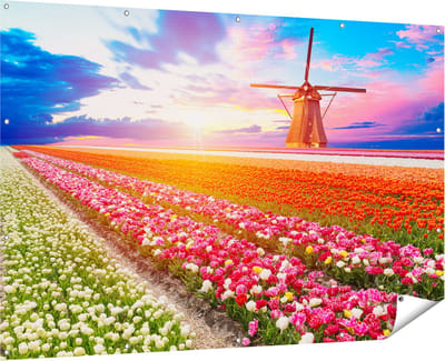 Gards Tuinposter Kleurrijke Bloemenveld met een Windmolen - 180x120 cm - Tuindoek - Tuindecoratie - Wanddecoratie buiten - Tuinschilderij