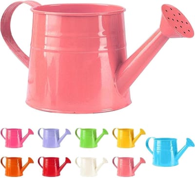 Kleine gieter - Metaal waterpot - Kamerplanten water geven - Roestvrij ijzer - 1 liter - Roze