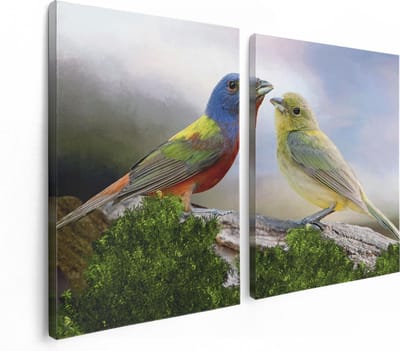 Artaza Canvas Schilderij Tweeluik Getekende Gorzen Vogels - Kleur - Abstract - 120x80 cm - Wanddecoratie Woonkamer - Schilderijen - Muurdecoratie