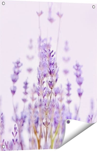 Gards Tuinposter Paarse Lavendel Bloemen - 60x80 cm - Tuindoek - Tuindecoratie - Wanddecoratie buiten - Tuinschilderij