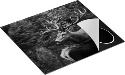 Chefcare Inductie Beschermer Twee Herten in het Bos - Zwart Wit - 60x50 cm - Afdekplaat Inductie - Kookplaat Beschermer - Inductie Mat