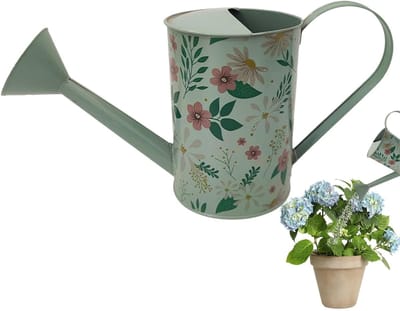 Gieter voor binnen - Vintage gieter - Planten water geven - Lange smalle tuit - 2 liter capaciteit - Uniek