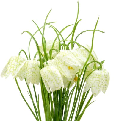 Schaakbordbloemen Fritillaria kunstwit, groen 40cm 12 st, 12 Stück