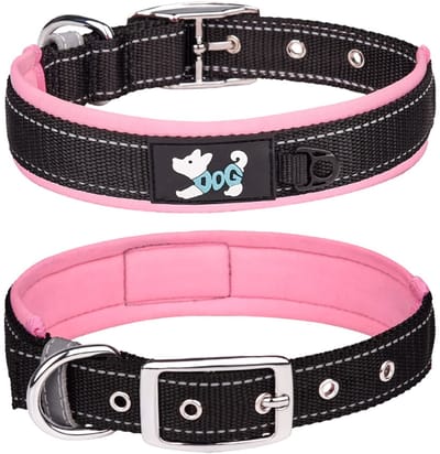 Dailygoody - Comfortabele halsband - Reflecterende hondenhalsband - Verstelbaar en gewatteerd - Roze - Neopreen en nylon - Geschikt voor grote honden