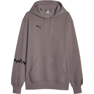 Puma Hoops Team Hoody Grijs K02