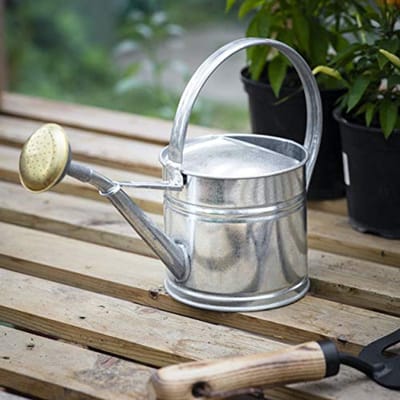Gieter 1,5 L voor buiten - Metallisch, anti-roest, ideaal voor tuinplanten en bloemen