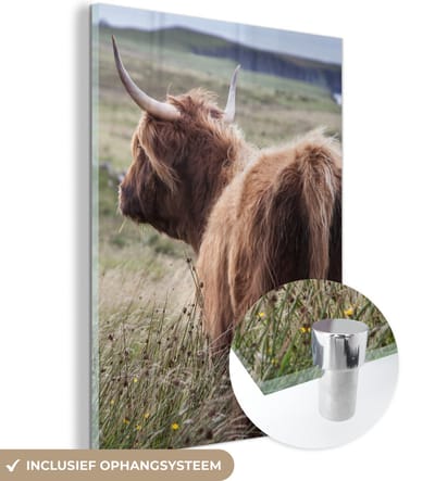 MuchoWow® Glasschilderij 120x160 cm - Schilderij acrylglas - Schotse Hooglander - Natuur - Zee - Foto op glas - Schilderijen
