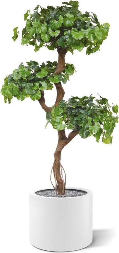 Ginkgo Bonsai kunstboom 150cm
