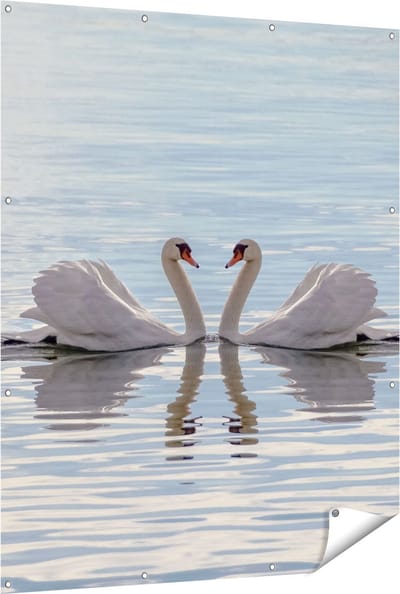 Gards Tuinposter Zwanen Koppel op het Water - 120x150 cm - Tuindoek - Tuindecoratie - Wanddecoratie buiten - Tuinschilderij