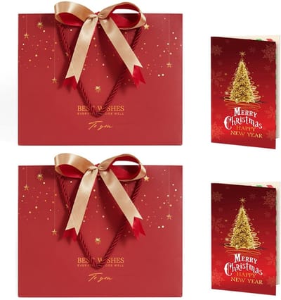 Dailygoods- Geschenkzakjes met handvat - 2 Papieren Zakjes 25 x 20 x 12 cm - Cadeautasjes - Verpakking - Wenskaarten - Waterdicht en Stevig - Cadeauzakjes
