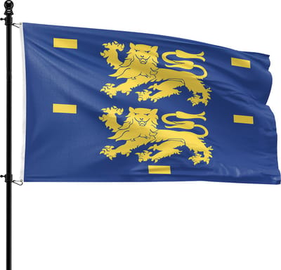 VlagDirect - West-Friese vlag - Regio West-Friesland vlag - 90 x 150 cm.