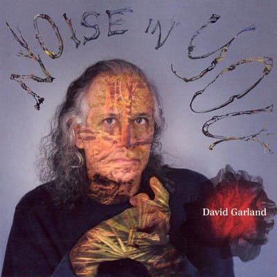 David Garland - Noise In You (CD)