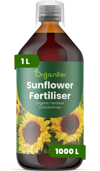 Vloeibare Meststof Voor Zonnebloem 1 L Voor 1000 L - Npk 3-4-3 - Ondersteunt Sterke - Rechtopstaande Groei - Verbetert Een Uniforme Knopvorming En Bloemgrootte - Voor Sierzonnebloemen En Zonnebloemen Voor Zaadproductie - Organifer