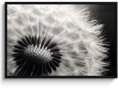Poster in lijst - Fotolijst 120x80 cm - Posters - Paardenbloem - Zwart - Wit - Posterlijst zwart - Decoratie - Wanddecoratie woonkamer - Muurdecoratie slaapkamer