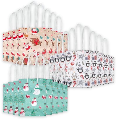 Dailygoody - Set cadeauzakjes - Kerstzakjes - Herbruikbaar - 23 x 18 x 8 cm - Cadeautasjes - 24 stuks - Cute Christmas