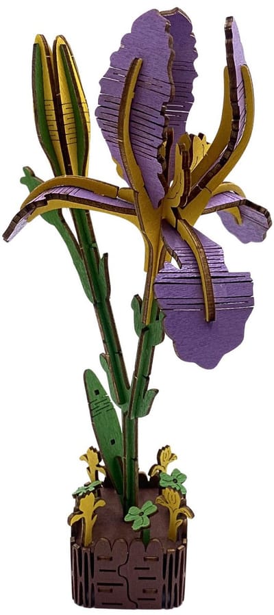Inspirebox Modelbouwpakket Iris - Decoratieve Bloem - 3D Houten Puzzel - 20 cm - Bouwpakket voor Volwassenen en Kinderen - Creatief Knutselen - DIY Modelbouwpakketten