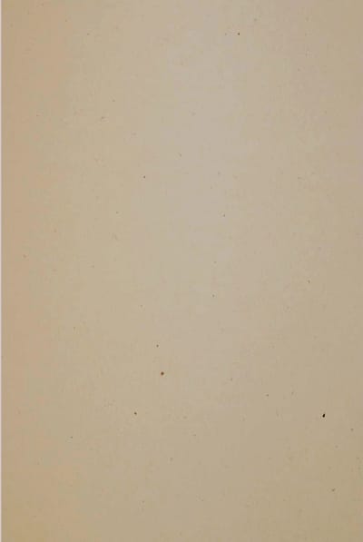 Netuno - bruin ecologisch papier - A4 - 21 x 29,7 cm - 10 vellen - 130 gram - Flora Tabacco
