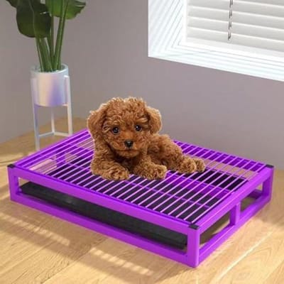 Hondentoilet Trainingsbak - Plasmat Houder - Zindelijkheidstraining Puppy - Poten Blijven Droog - 20.5 x 13.8 Inch - Paars