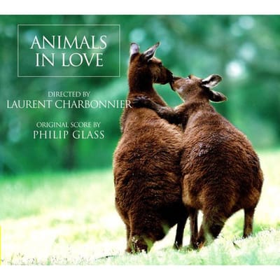 CD PHILIP GLASS; MICHAEL RIESMAN - Dieren in Liefde (Originele partituur)  0040 Oranje Berg 2007 VS Klassiek Gebruikt black